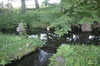 東出口湧水